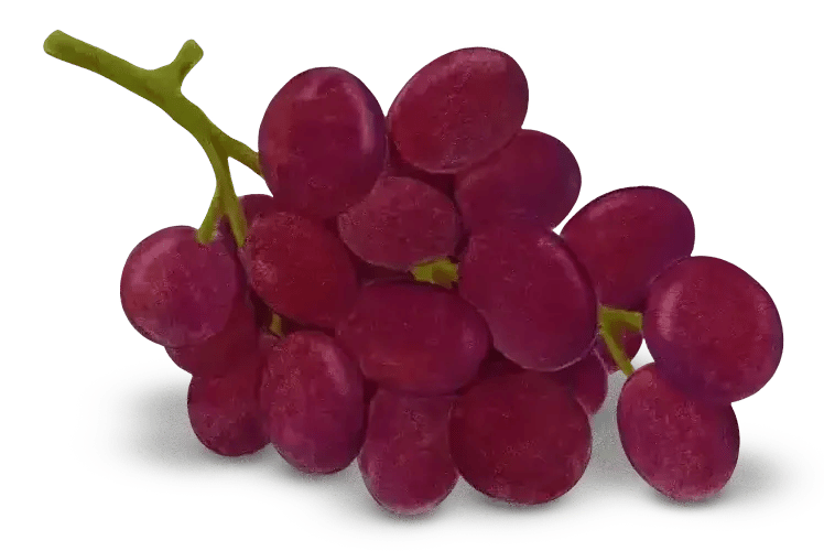 Grapes