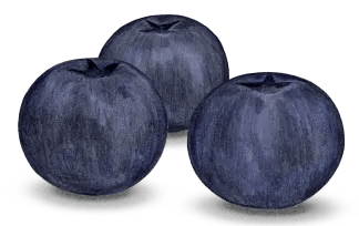 Blueberries