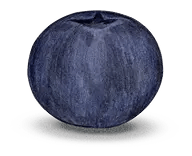 Blueberry